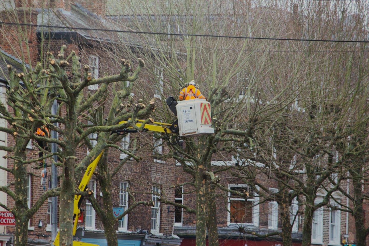 Baumpfleger schneiden kahle Bäume in einer Stadtstraße.